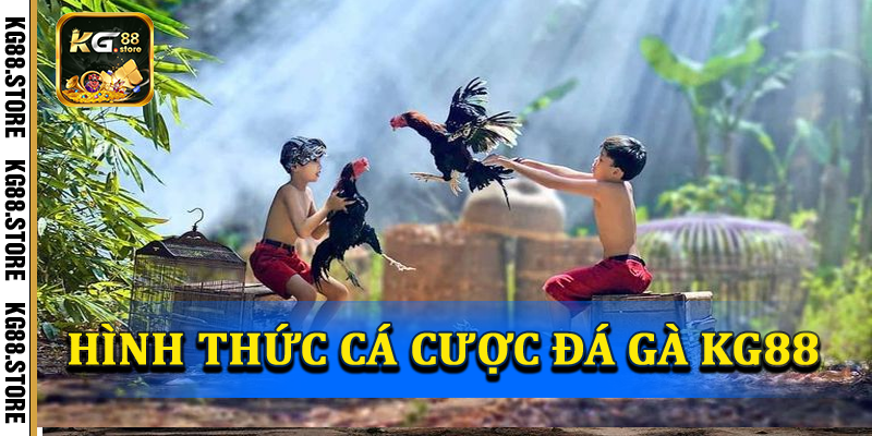 Các hình thức cược có tại đá gà KG88